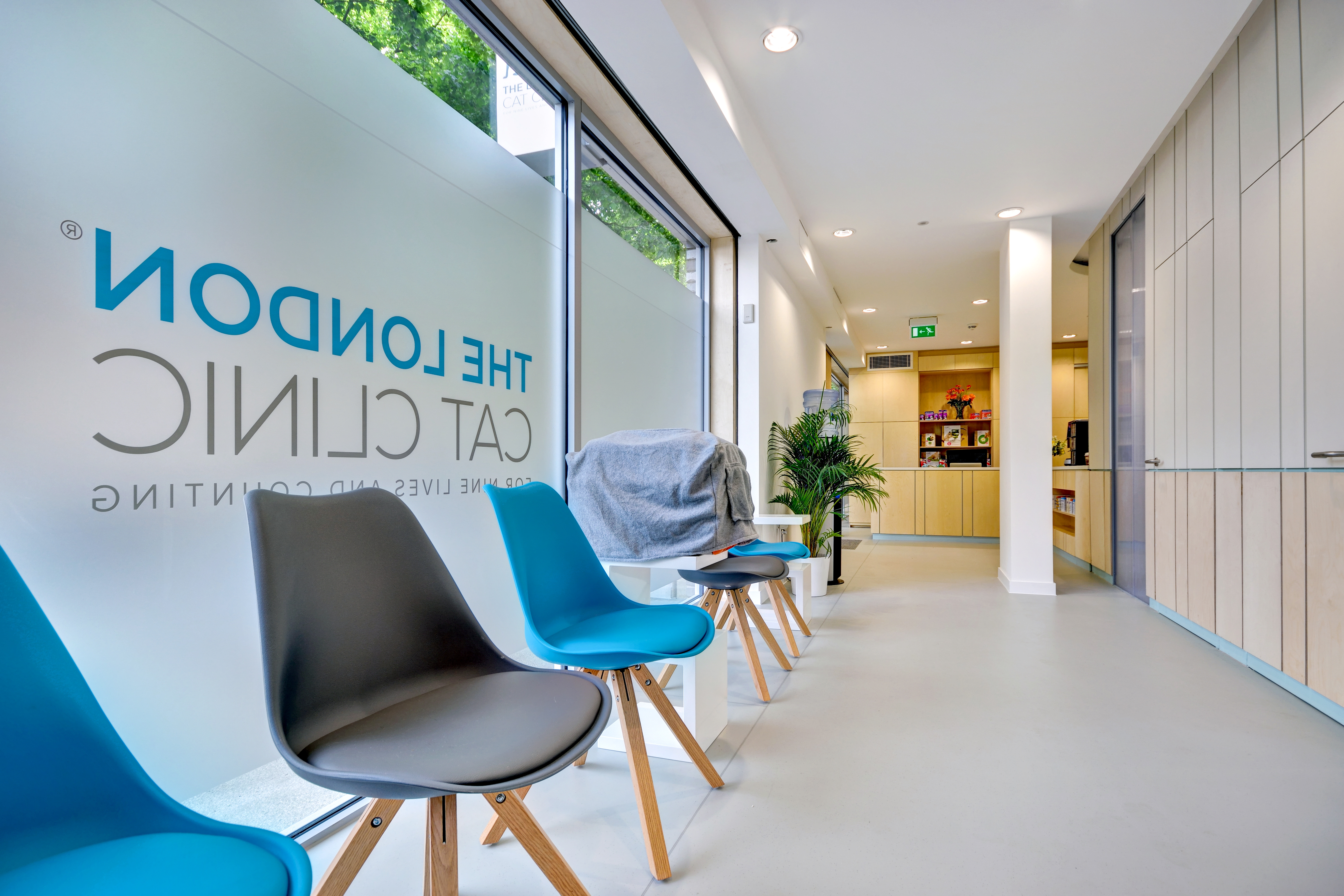 Inside The London Cat Clinic